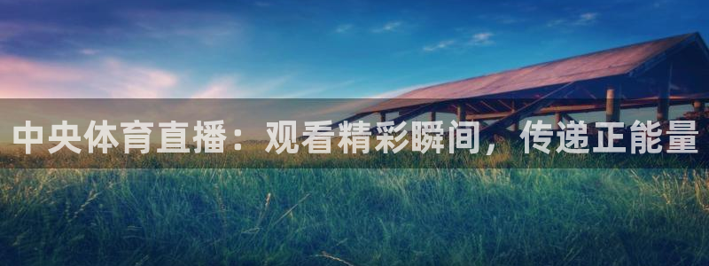 劲爆体育网络直播：中央体育直播：观看精彩瞬间，传递正能量