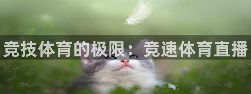劲爆体育频道在线观看免费：竞技体育的极限：竞速体育直播