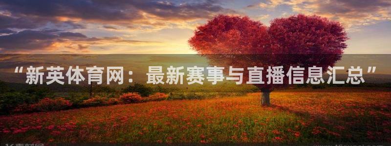 劲爆体育f1直播：“新英体育网：最新赛事与直播信息汇总”