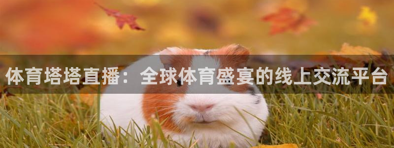 劲爆体育nba节目表：体育塔塔直播：全球体育盛宴的线上交流平台