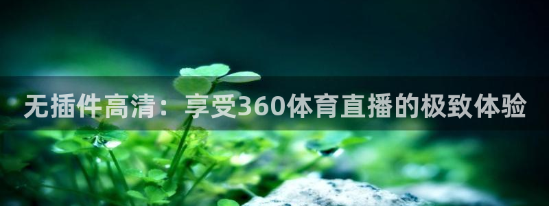 劲爆体育直播观看：无插件高清：享受360体育直播的极致体验