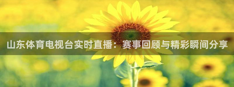 劲爆体育频道在线直播：山东体育电视台实时直播：赛事回顾与精彩瞬间分享