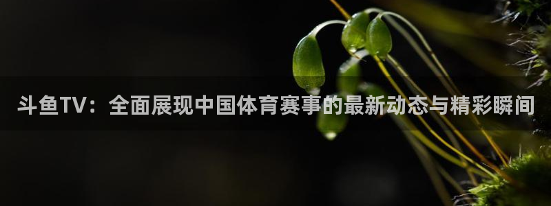 劲爆体育免费直播nba：斗鱼TV：全面展现中国体育赛事的最新动态与精彩瞬间